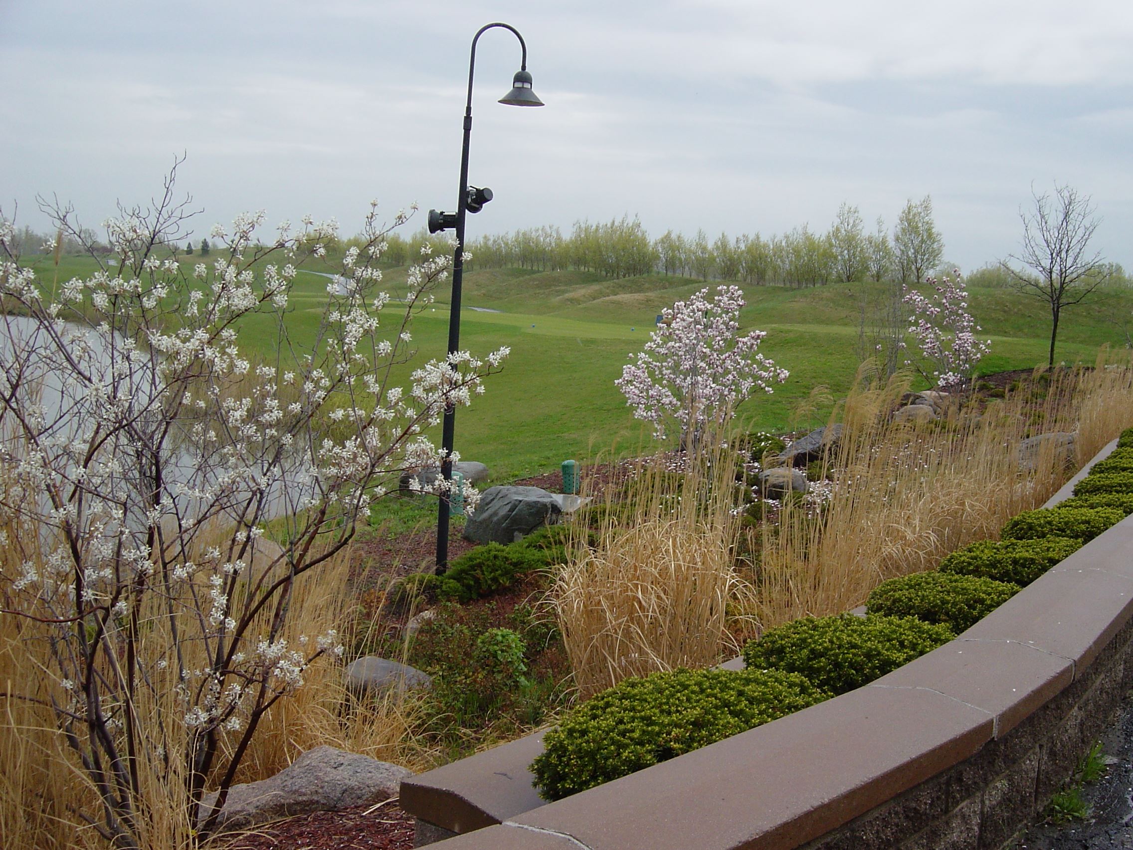 The beautiful scenery of the Lakes of Taylor Golf Course.